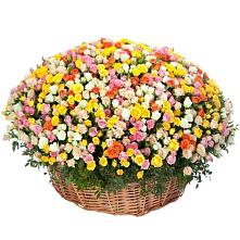 Премиум букет из: Розы #REPLACE_PRED# Нарышкино