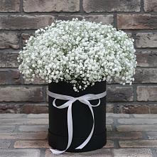 Цветочная композиция из Гипсофила в шляпной коробке в Нарышкино