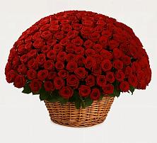 Премиум букет из: Розы #REPLACE_PRED# Нарышкино